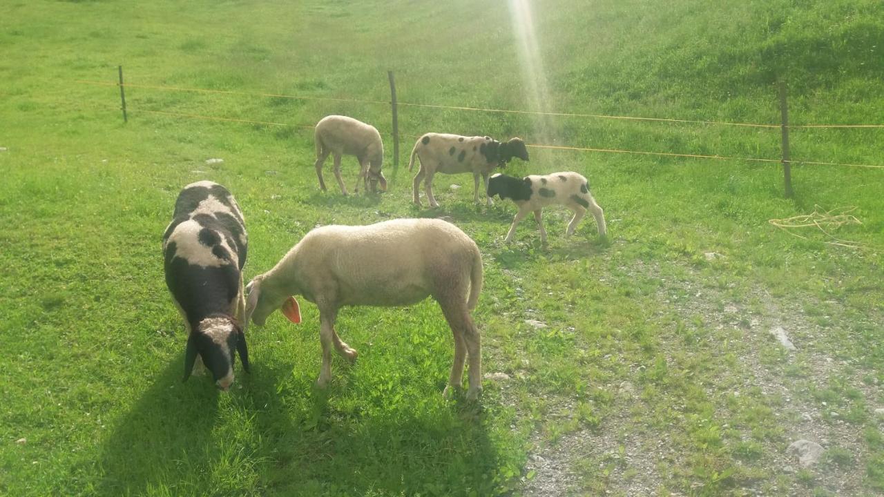 Böglerhof Lejlighed Uderns Eksteriør billede